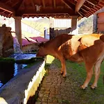 Casa Da Fichua Semesterbostad *