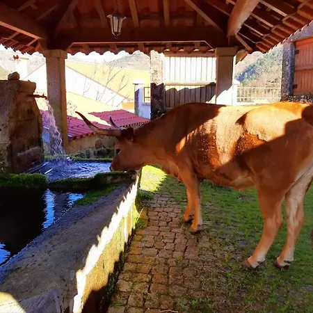 Casa Da Fichua Nyaraló *