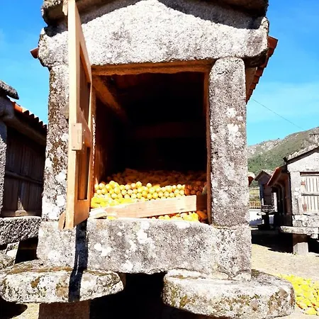 Casa Da Fichua Nyaraló *