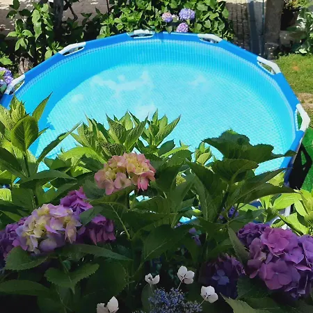 Casa Da Fichua 펜션 *