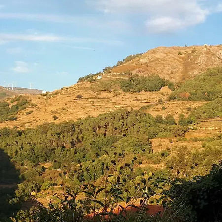 펜션 Casa Da Fichua