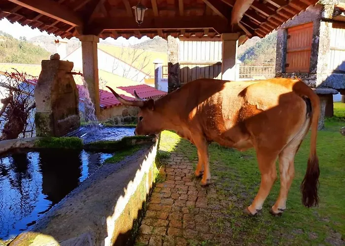 Casa Da Fichua Hébergement de vacances *