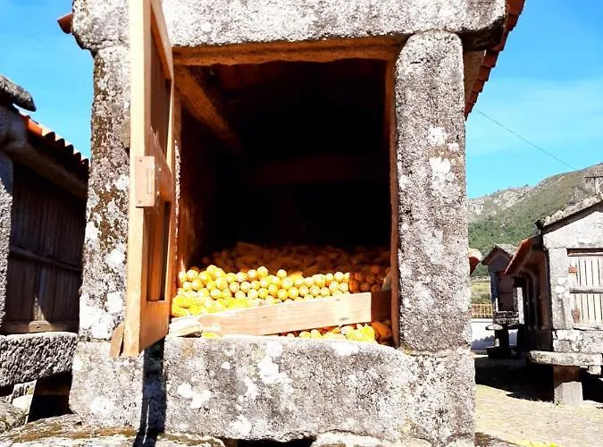 Casa Da Fichua Ferienhaus *